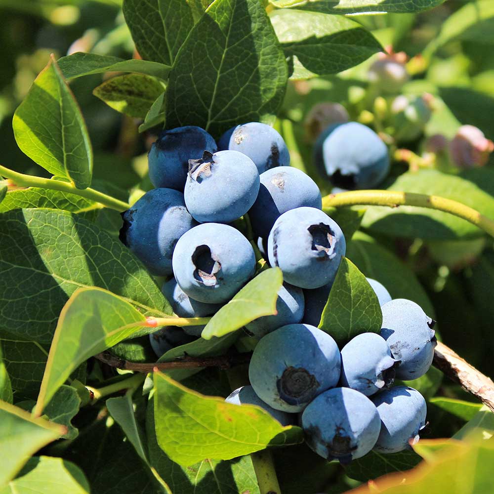 3702c20fbed37e2127512f4970f4e135