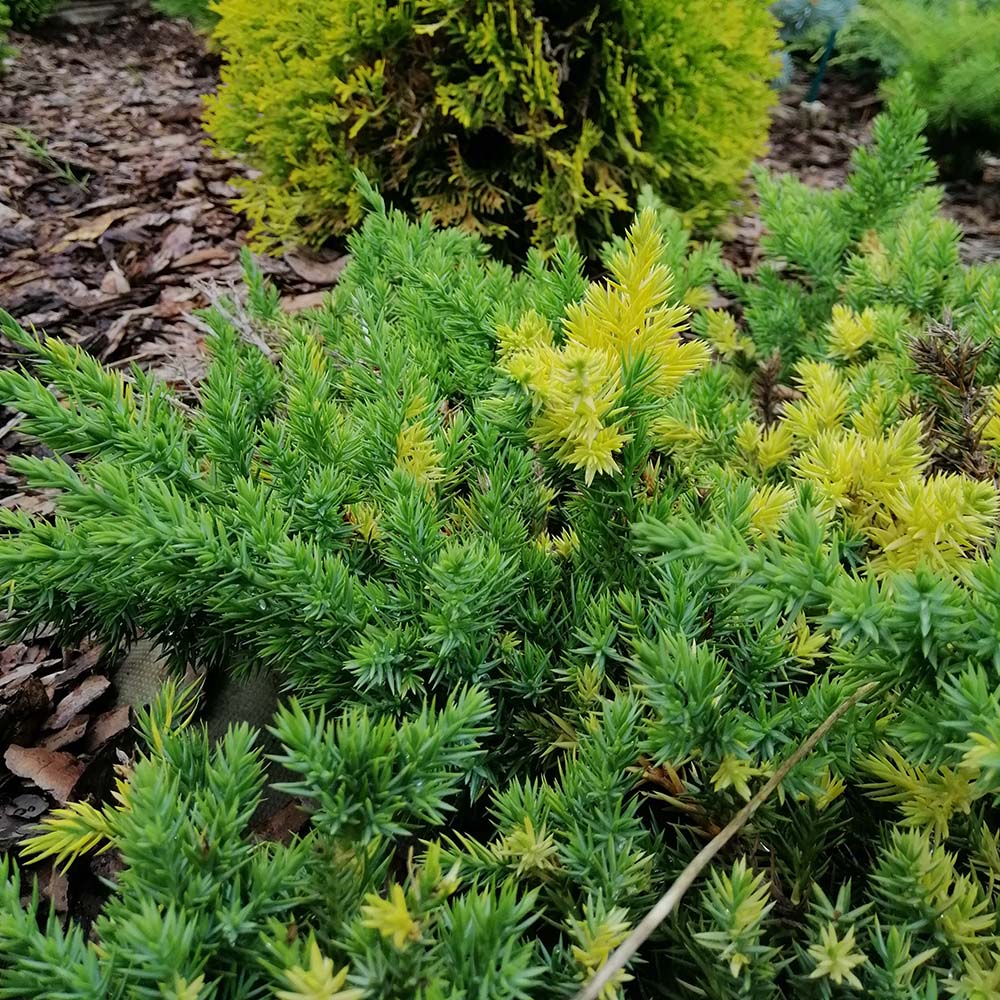 5d9a3df308ddbdc87810b9dcd3d20406