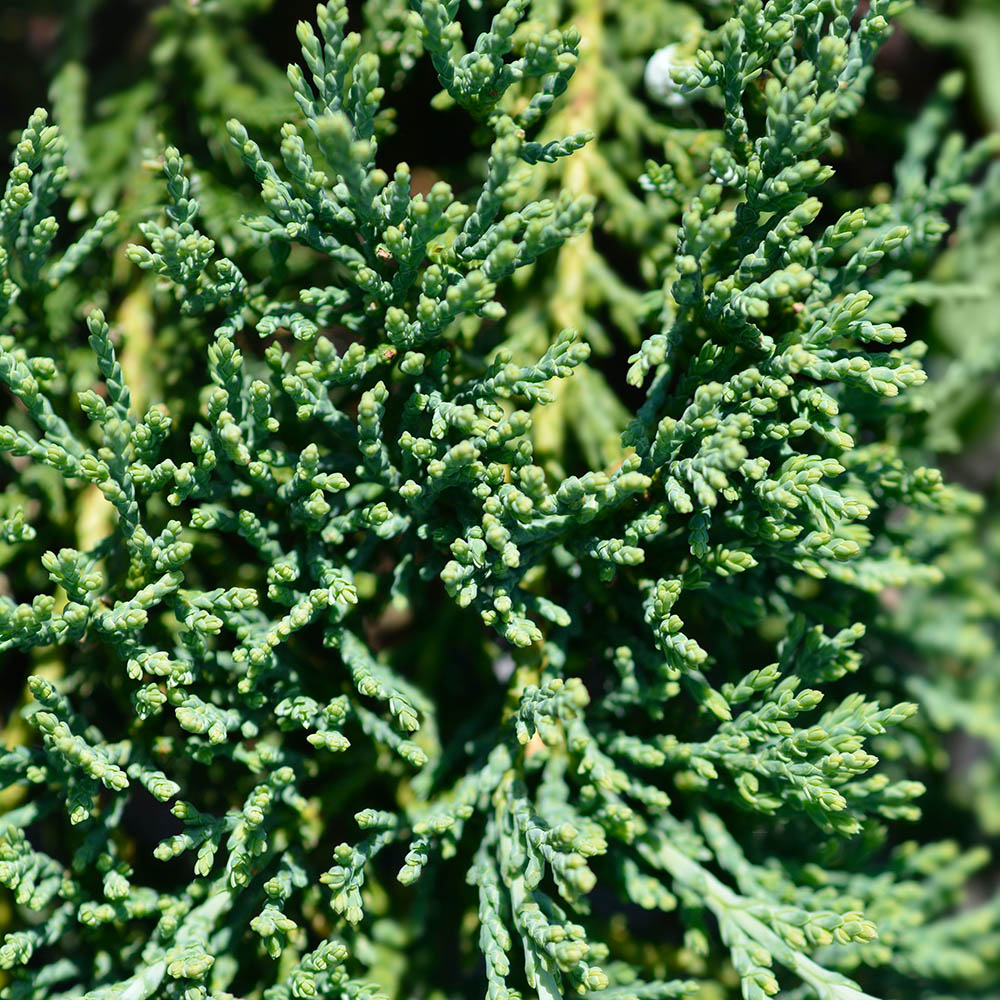 576e0ec43b4cfadfb8e482146829cebb