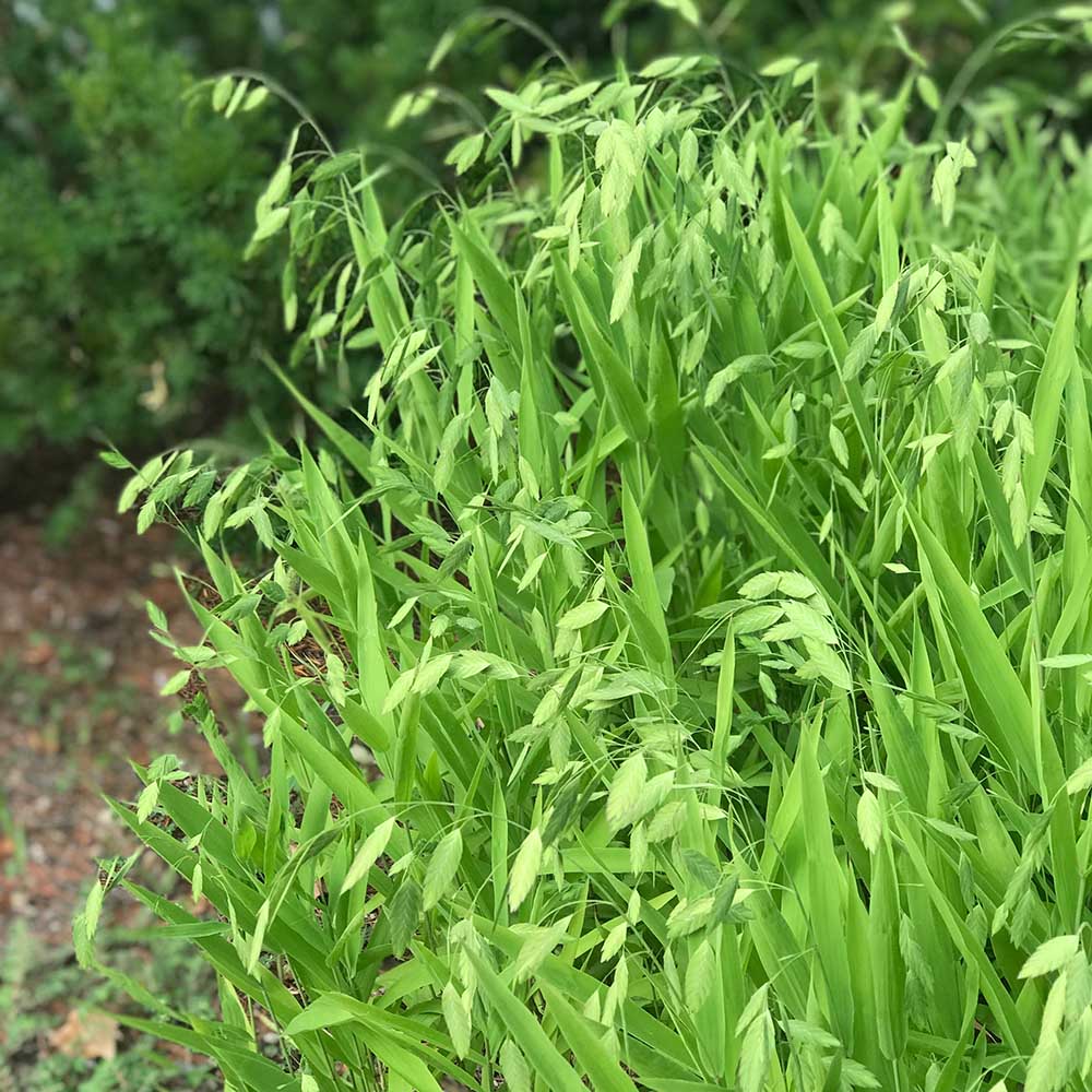 bf051f12de7991292b8d42aedc63922e