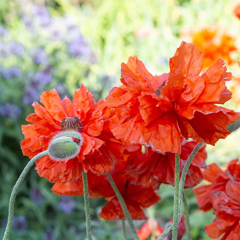 b308a5ebf60ac096083e8ed2325b021f