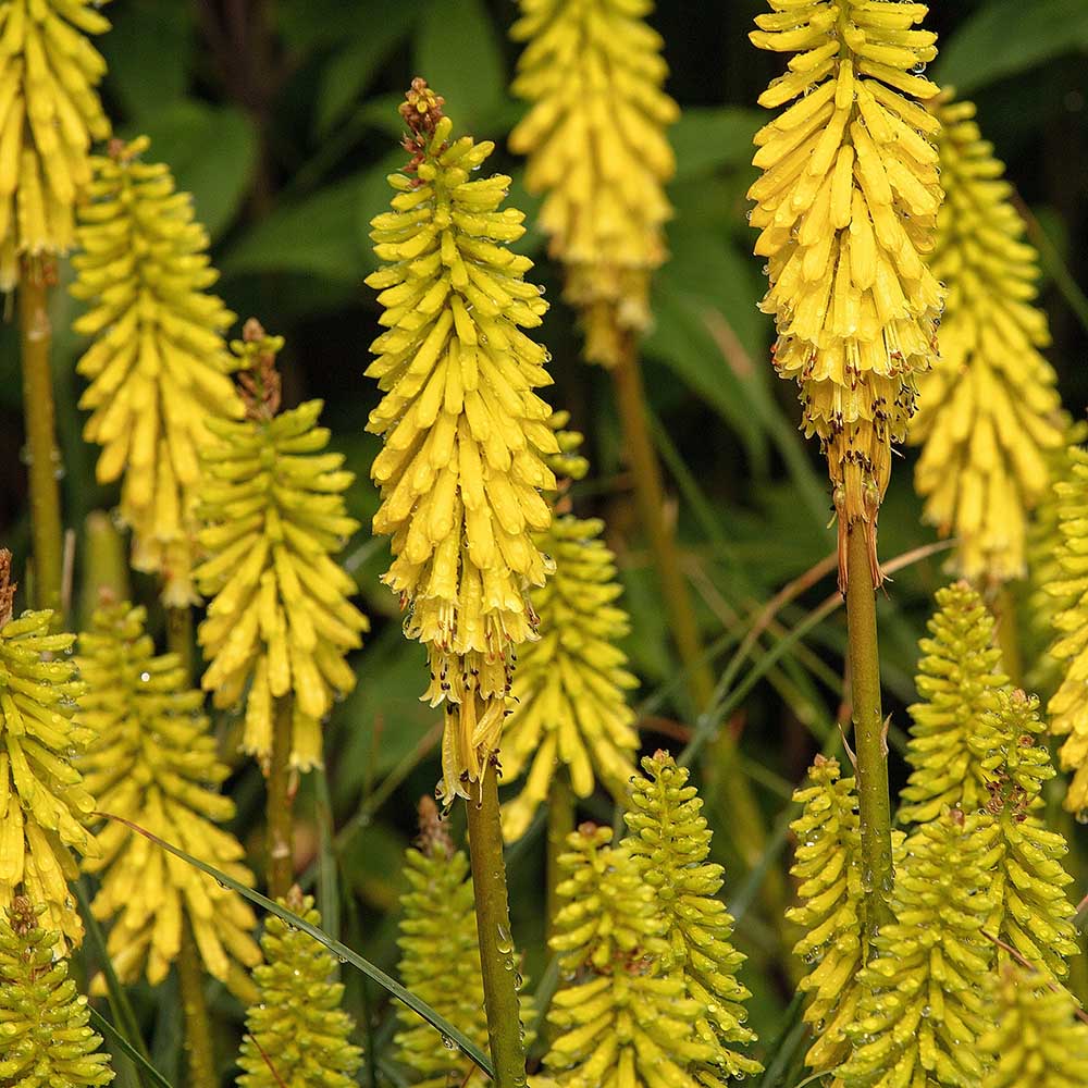 a7ba15f5930817e9200d43bcfb8511df