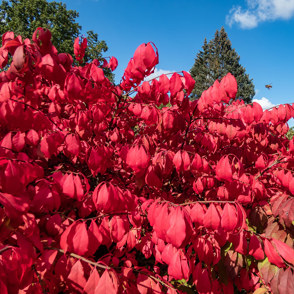 aad96f8c31d3c834e39edaeeddcced0e