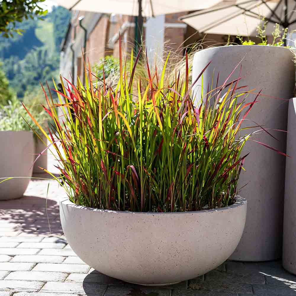 3bd0def580bbbb3f8d5ea2cb4c18de8d