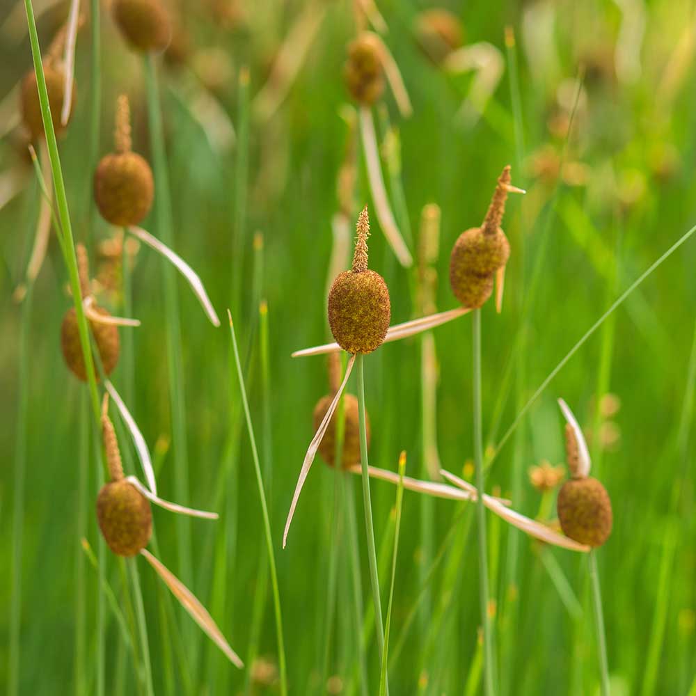 270f0c2b6fafa4c1df3593f487ebcfd5