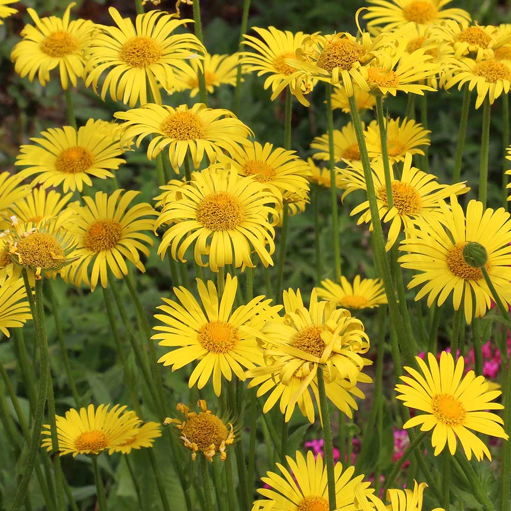 15ac78115ef72956284554e6bc3f8c74