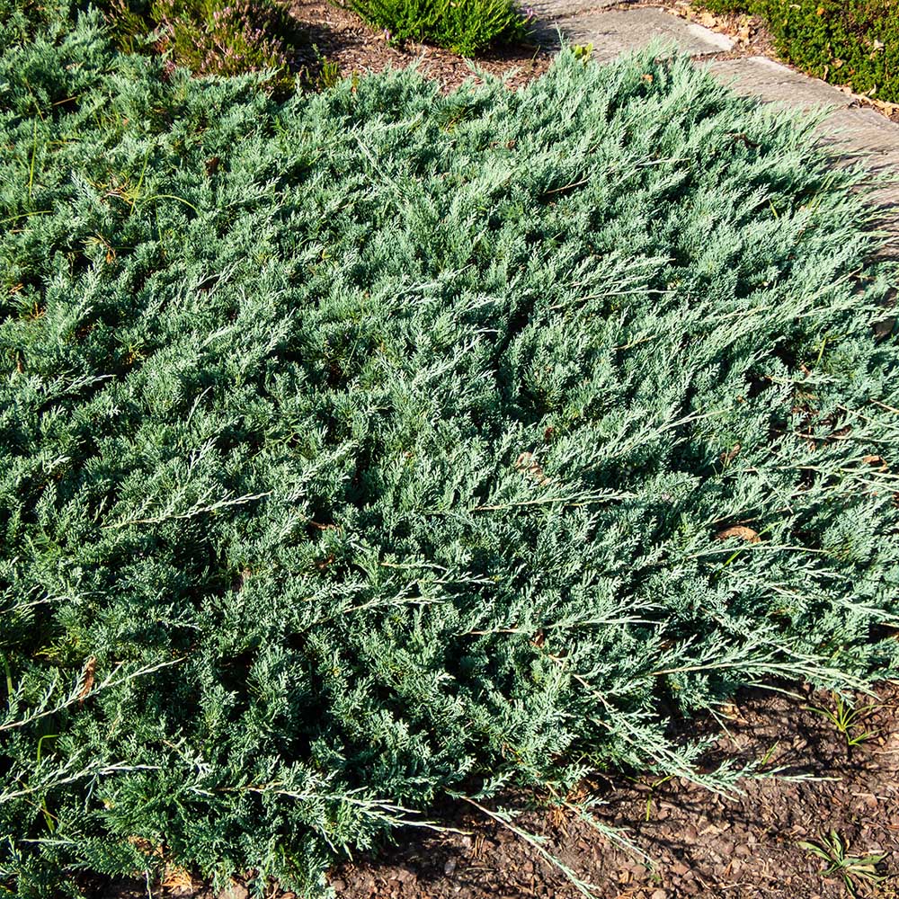 23914ebd58dada425c7134d9b506126e