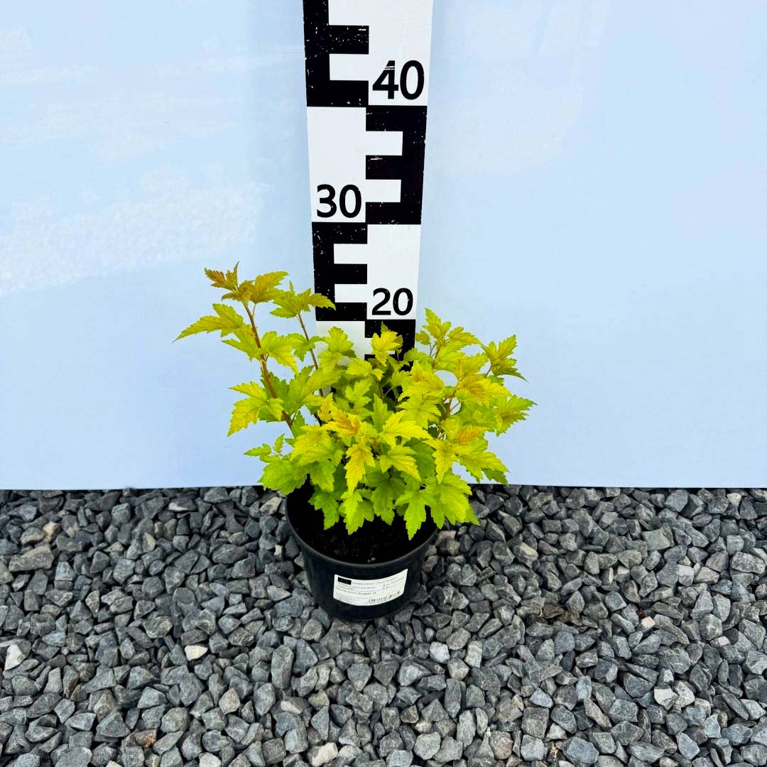 39756939395bad92b4bfc61e0d7f6700