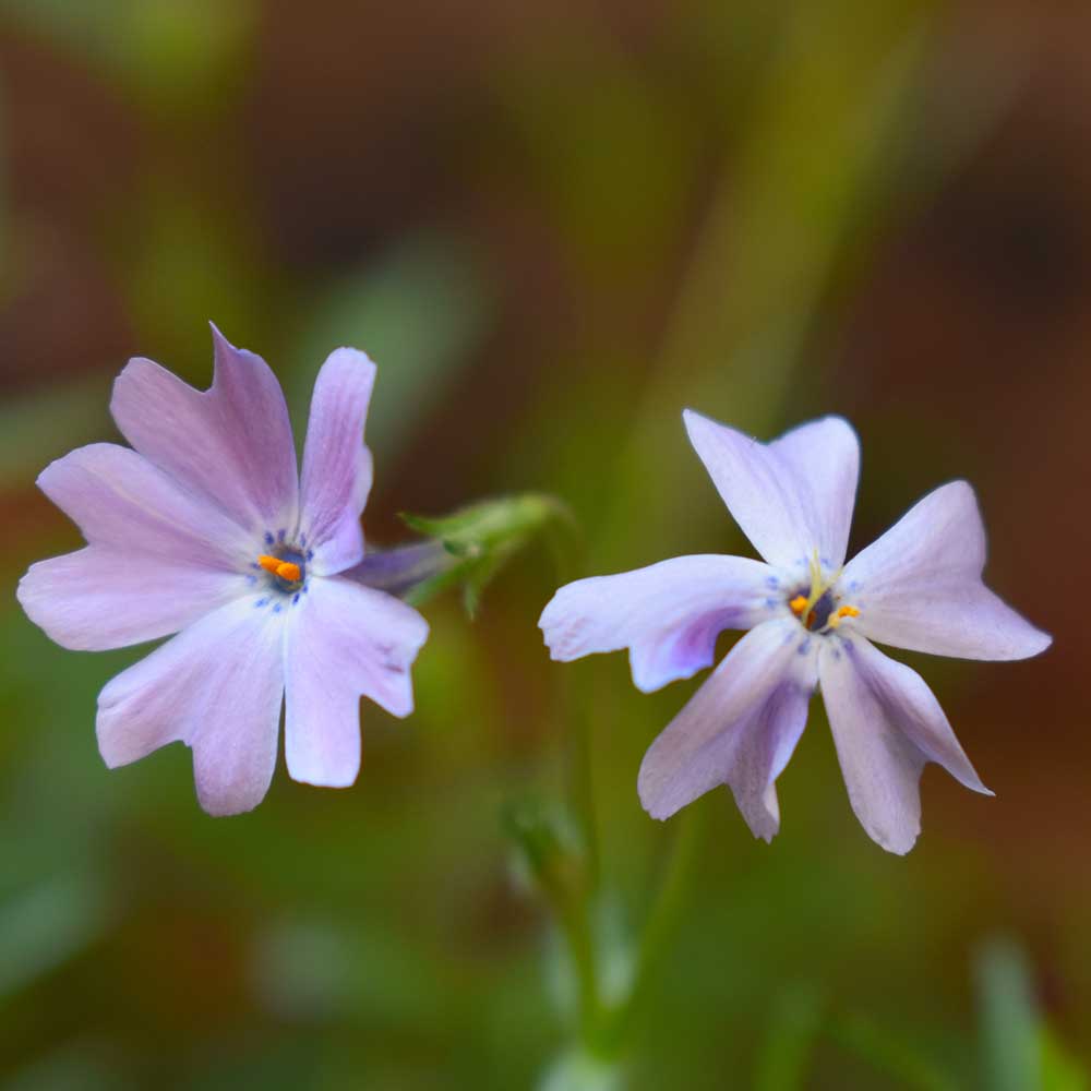 592c22b70db0f389bdaafd76e9638cce