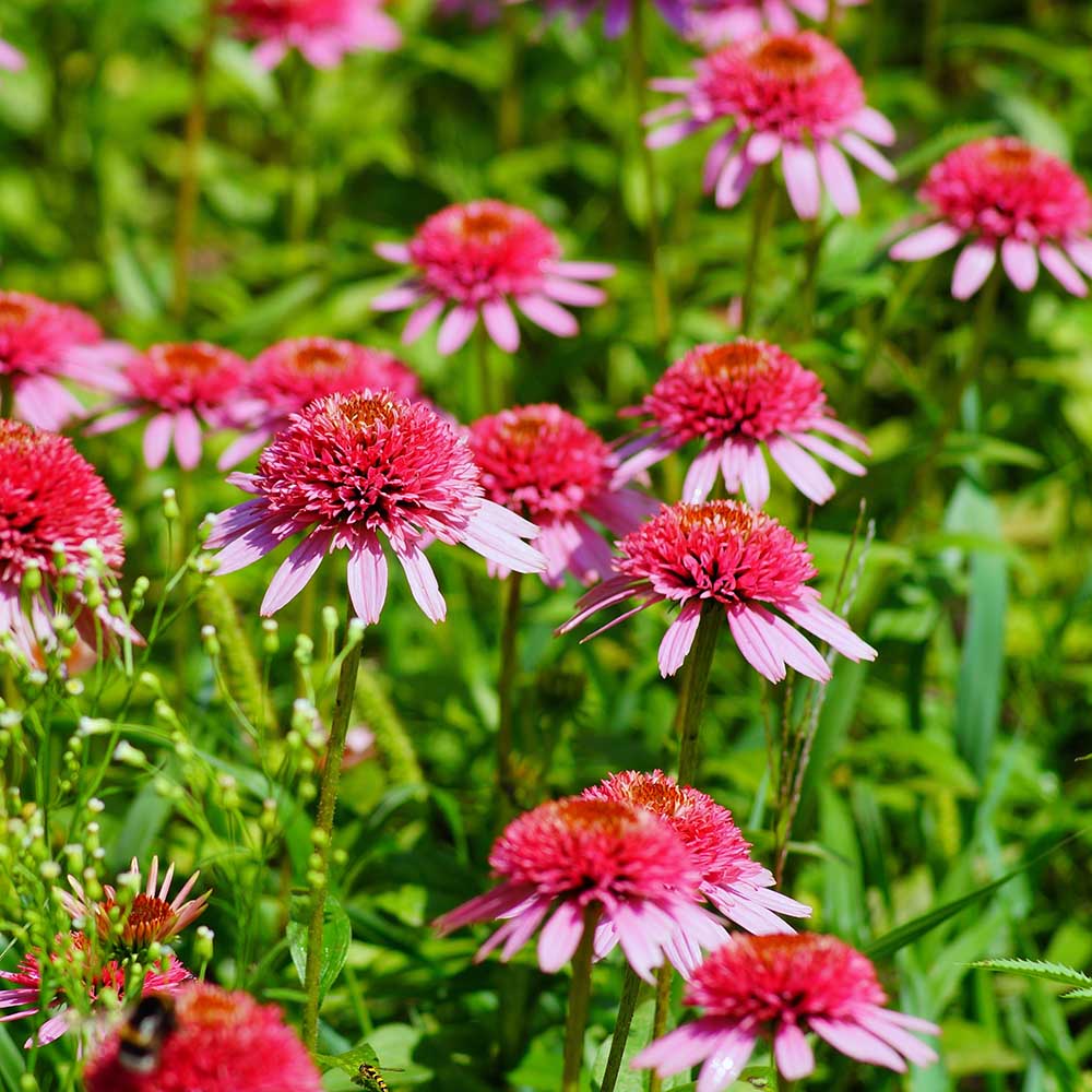 279f59ce451dd7bab037c5f8b44c714b