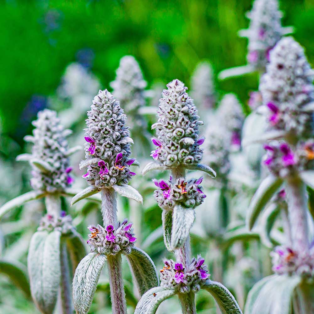 d2c7bdd057e13c41b9f7114b39d7d466