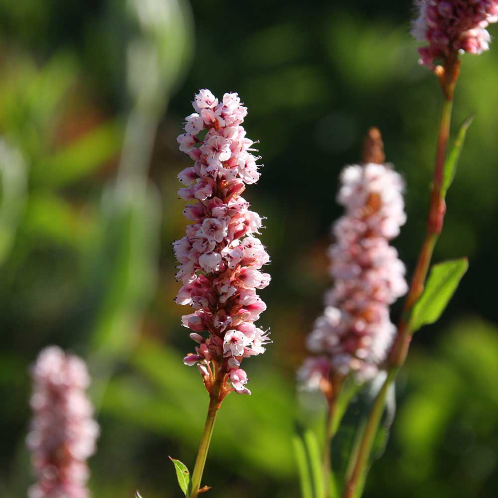 d142a5f69c786bd76abb7414482c4932