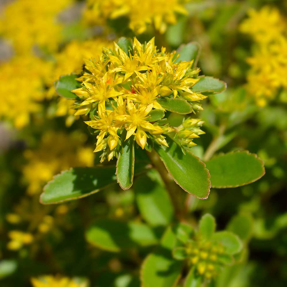 78ee6e102fd8a351b4b01b47668db4e6