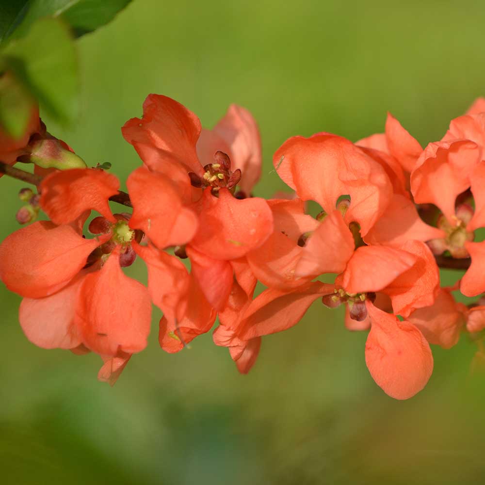 f950b4ff2d0245569edf84bc2914aff5