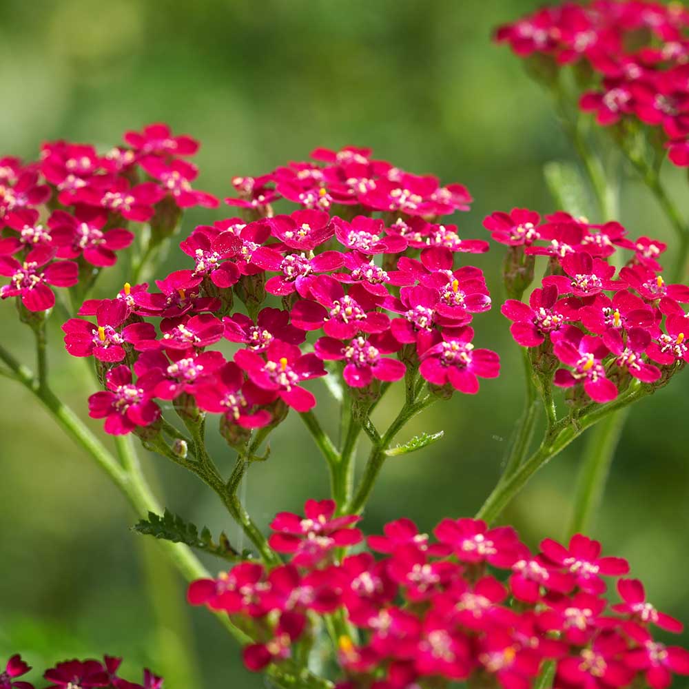 b05a6b4a1f0d09383040d83b56370efe