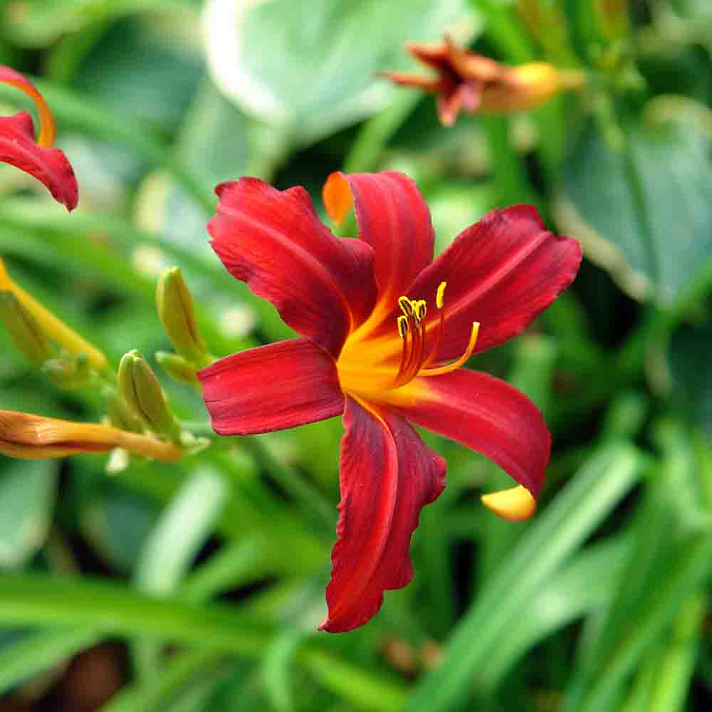 883e17b04aa793ca2ceb97637dee781c