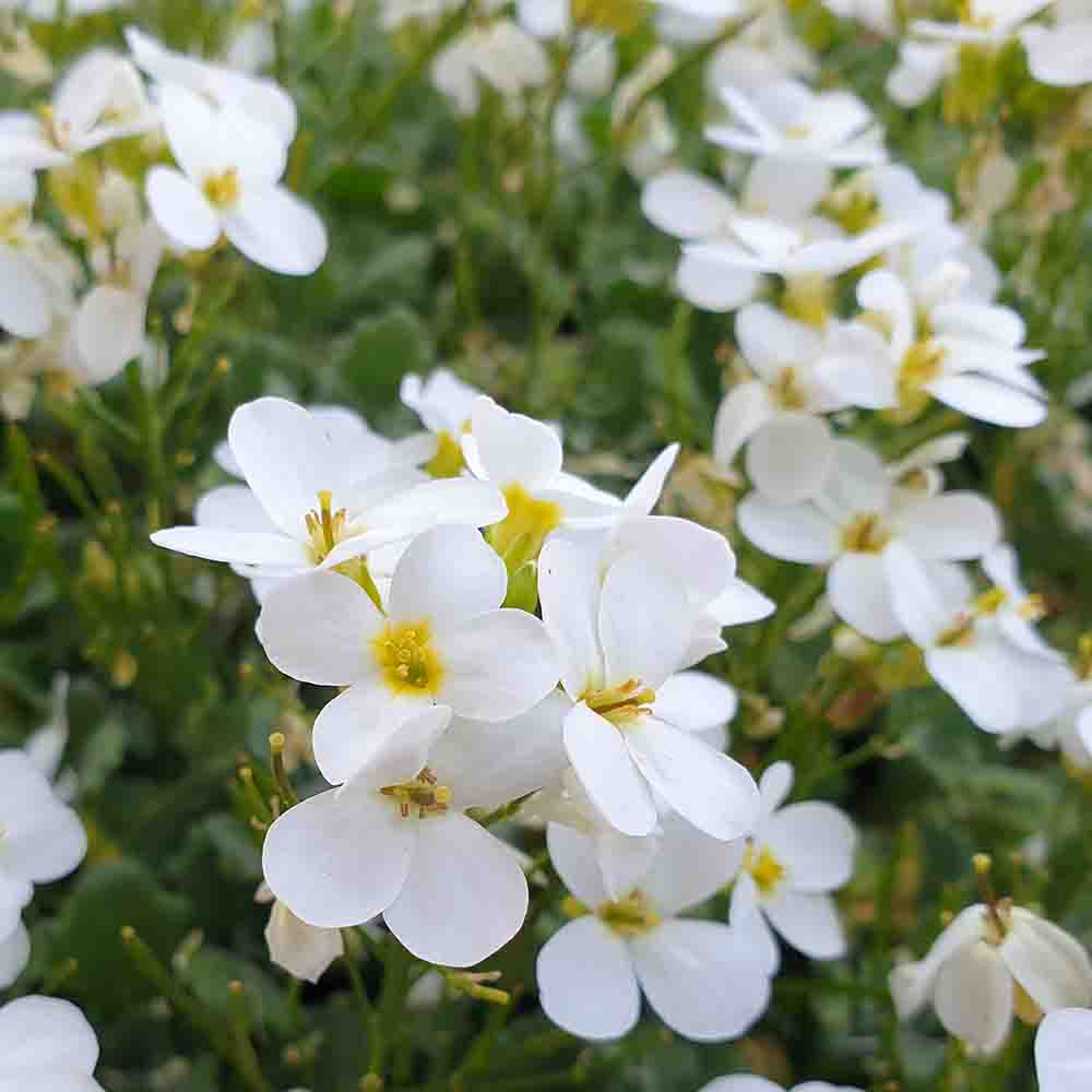 3b699ac5373843719a2a205ac59e0f33