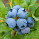 7ea8f8a6fdaec37b0e80b030d2076e29