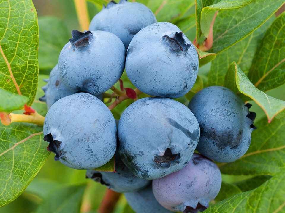 7ea8f8a6fdaec37b0e80b030d2076e29