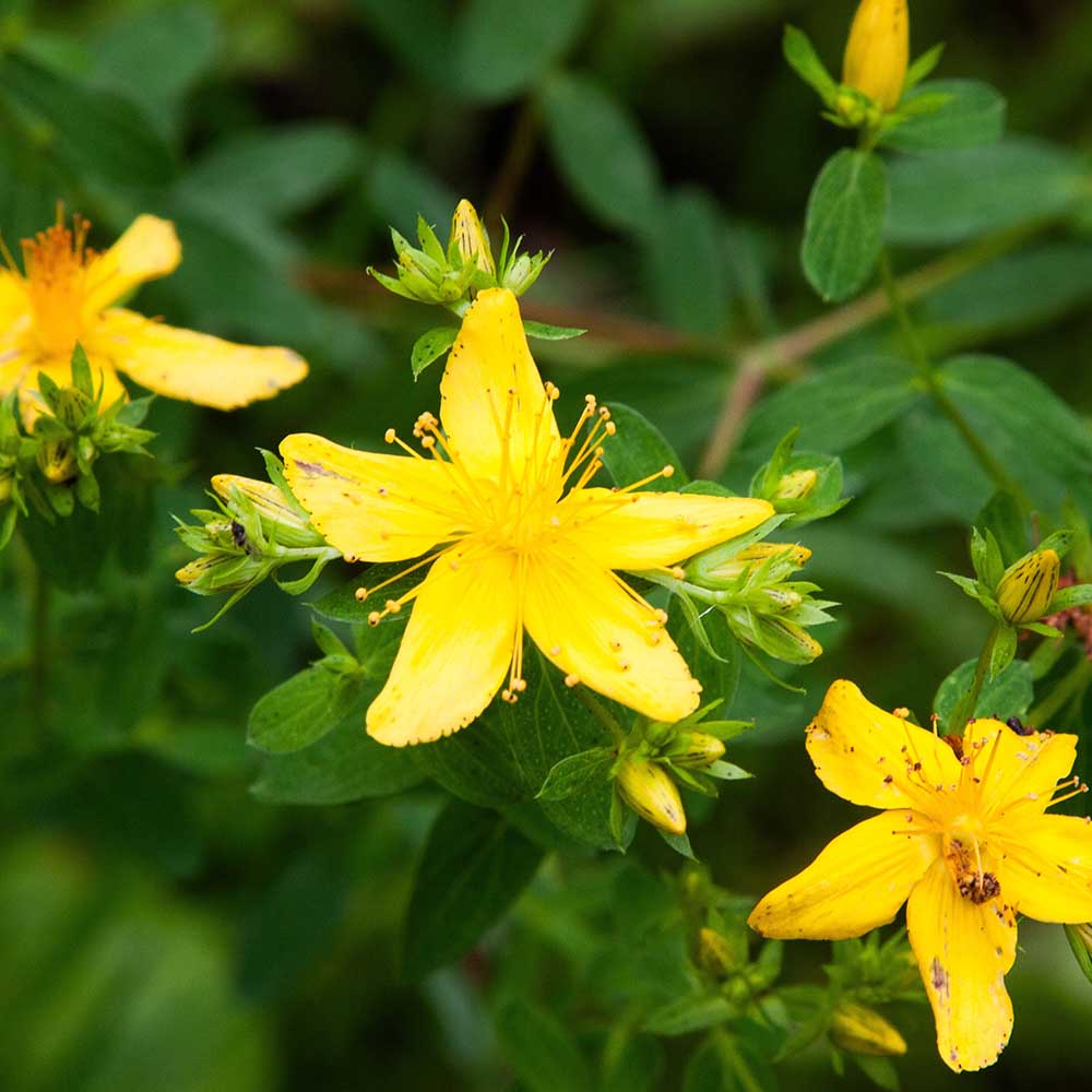 fc32f3b7e24c51b1b987db30426f0de1