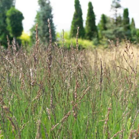 69281c332205b6582b3d0522344f2744