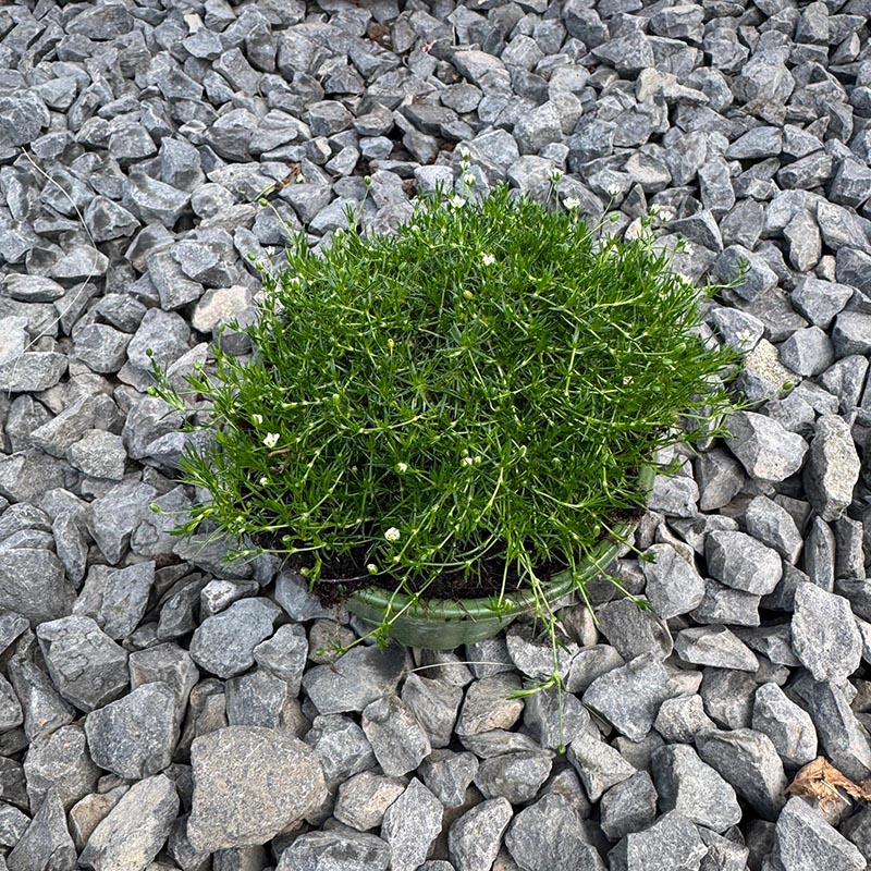 6ddaaceb16143d540902d63706ed55f5