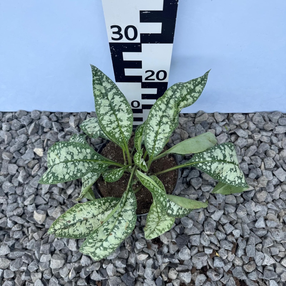 719329b9384ab1ad3de95771b954b201