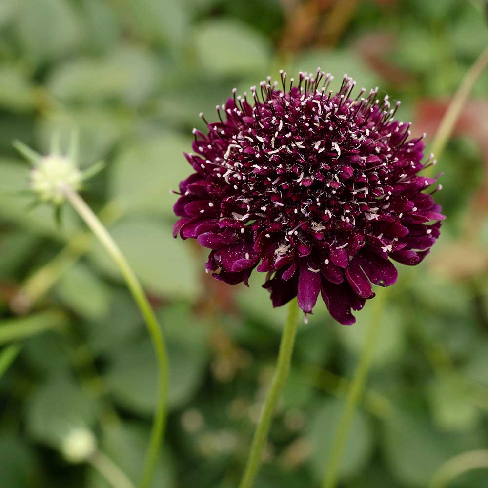 09b8d054fbd04ec52f4a5676f8635dce