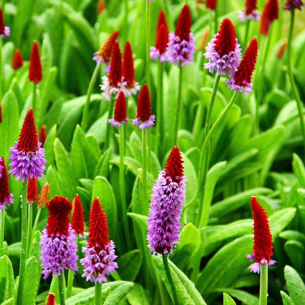 c1ab9d529166f3adb051c14903eb5739