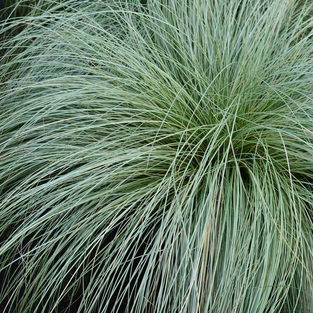 c144a8687d6a51e1b07fd4d47e804e15