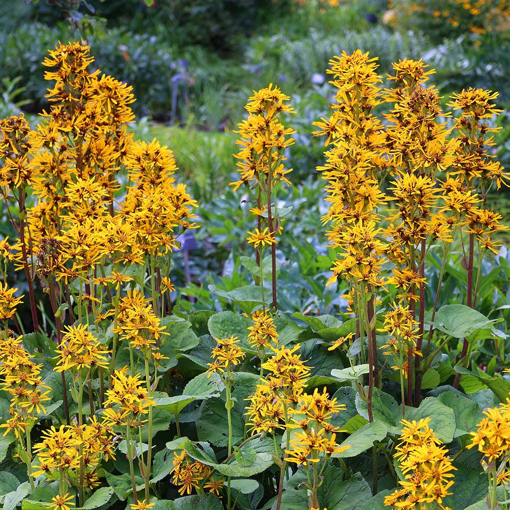 9b9fea11ce11231b4cc7a5b88993bf7e