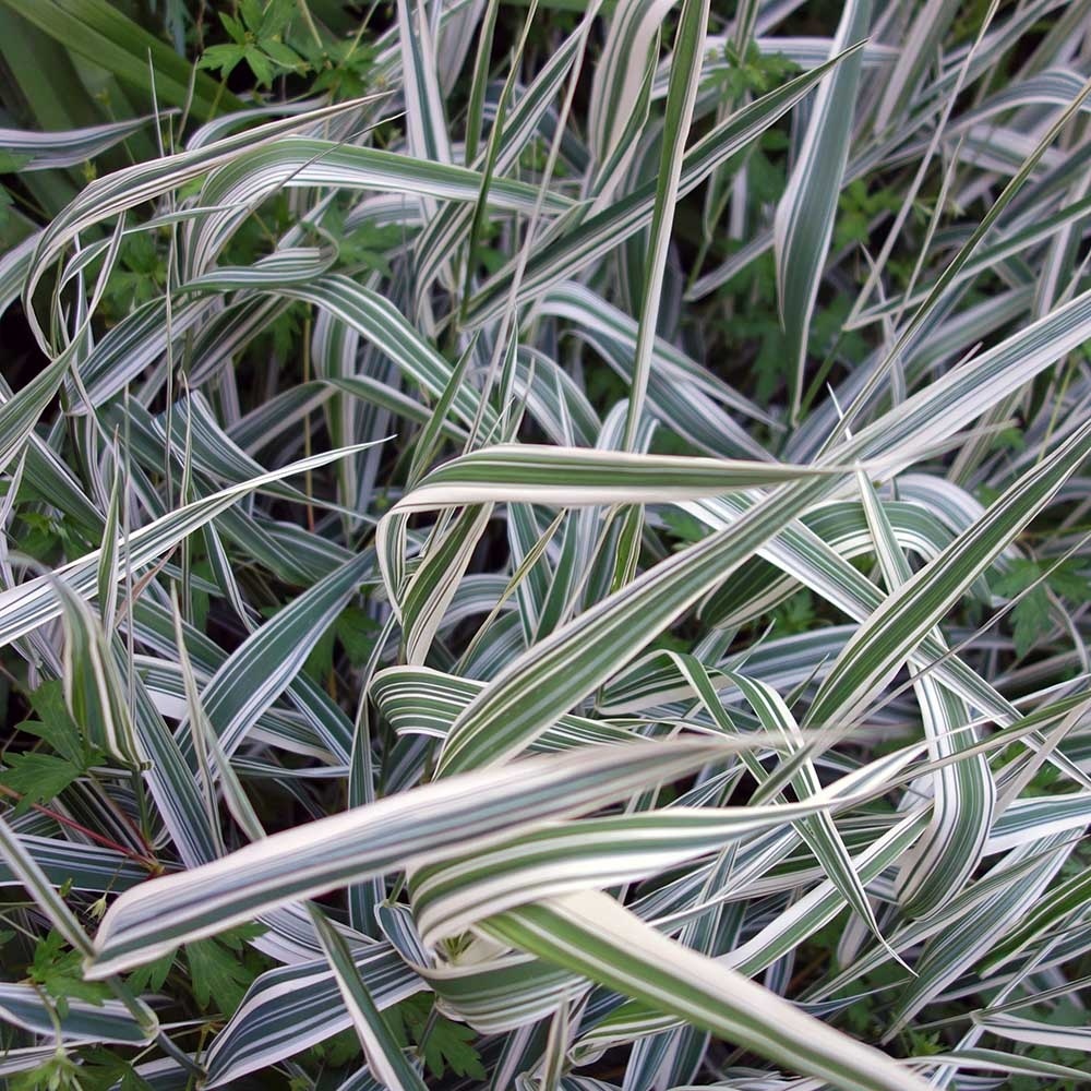 d8ee9a4987cefc1d75addbe2315f7709