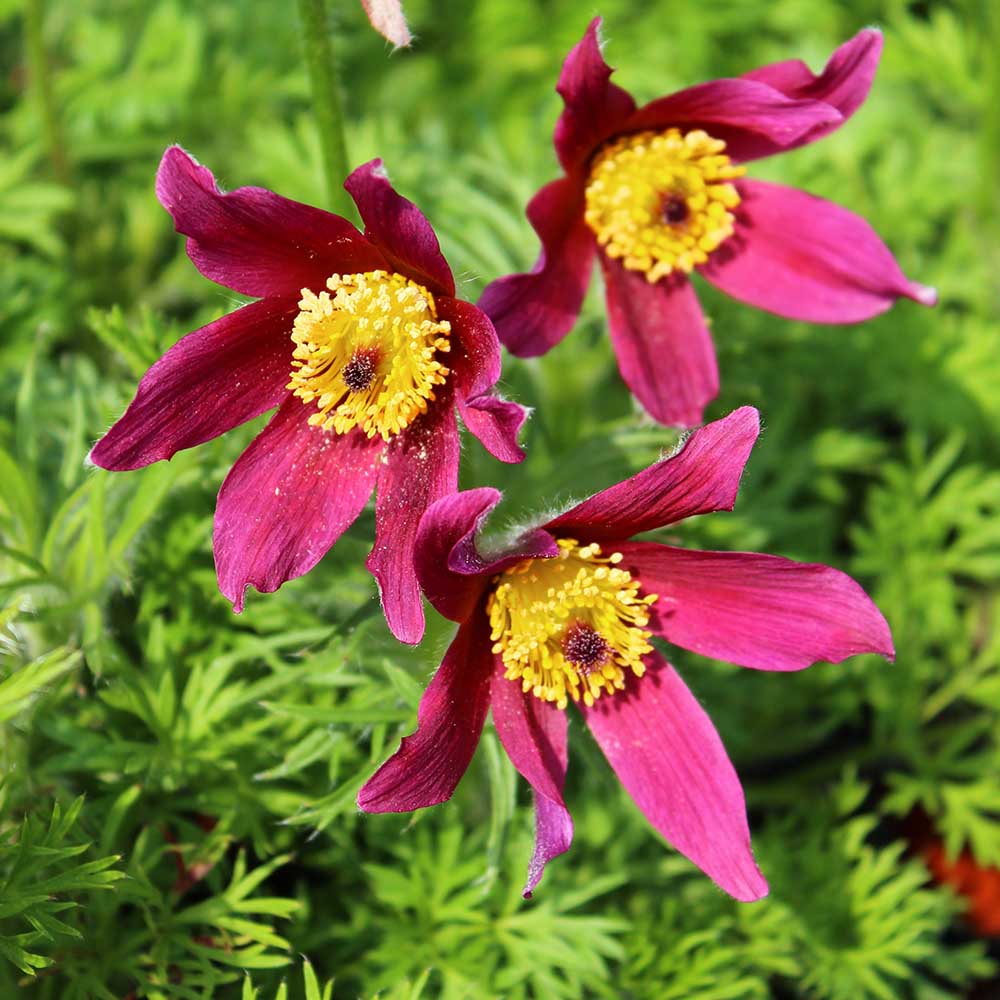 2884a4a84409c55467d5452683f1fd6a