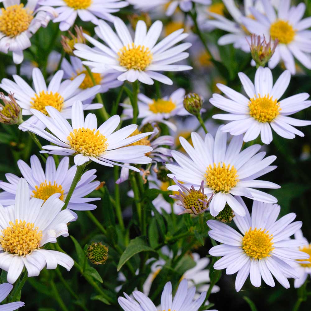 391e574f6b7c40c84b72b8383355ae64