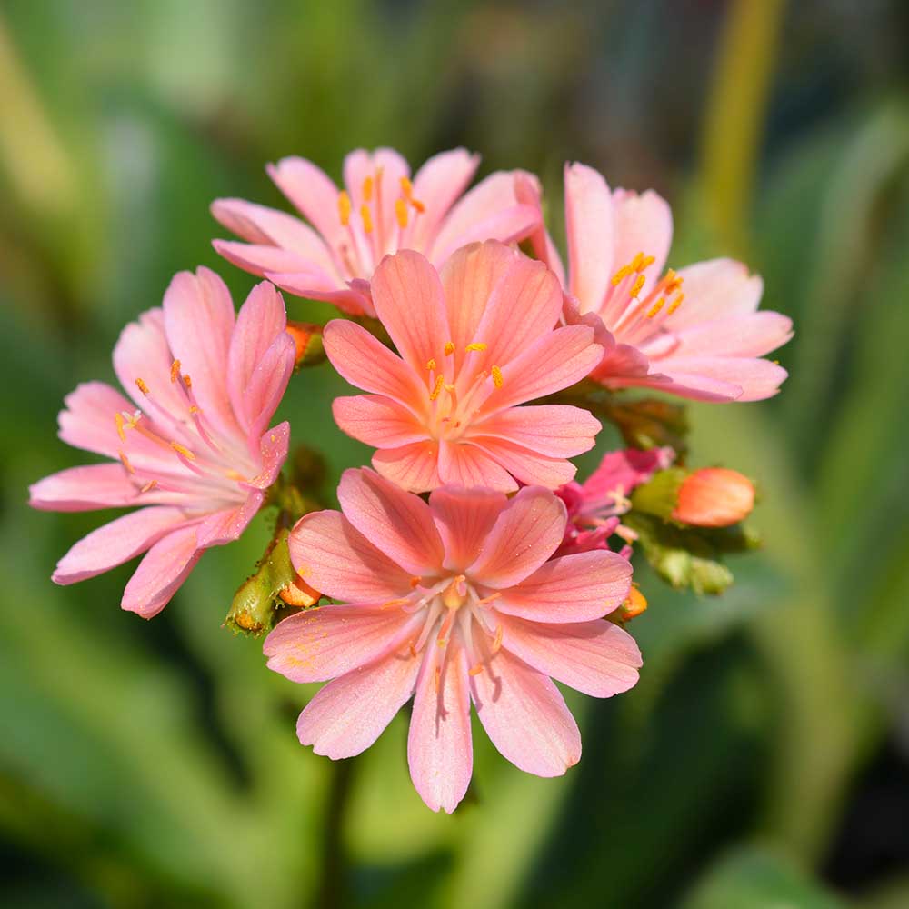 3b973173be7c68be2b40ddb7dd44db87