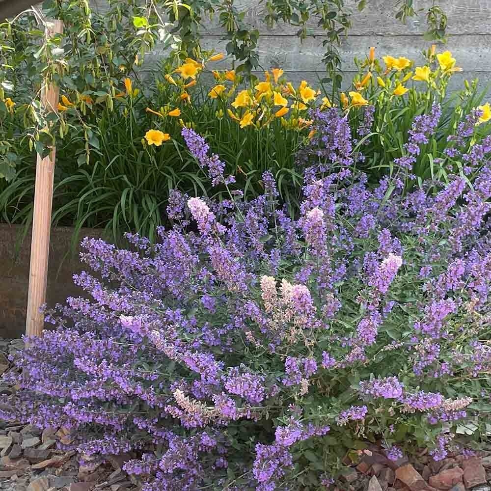 d0e20ccea920a1f85a94817f6a000b27