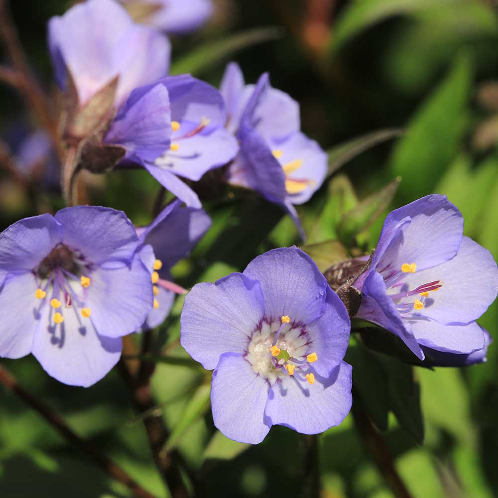 7183734c386c1ed658d3bc7f5454d7e8