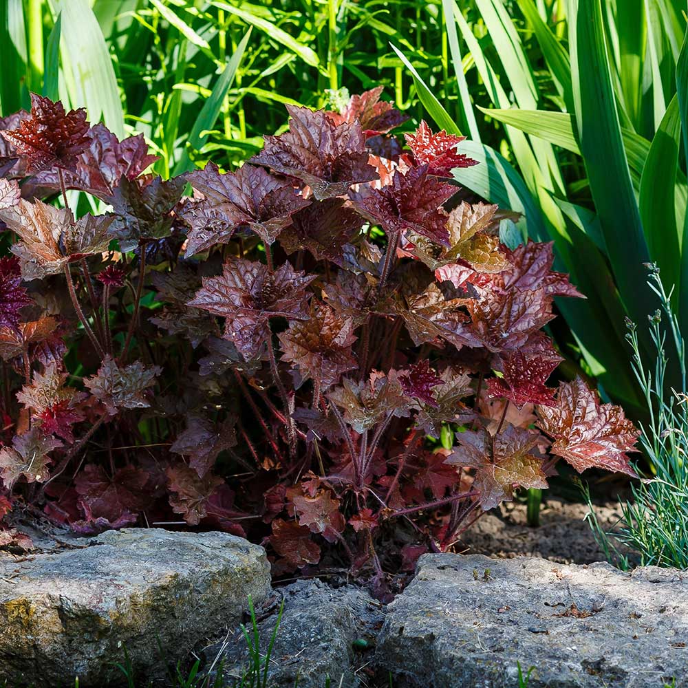 0613cec9d8b34d5b89b795051d3ba55e