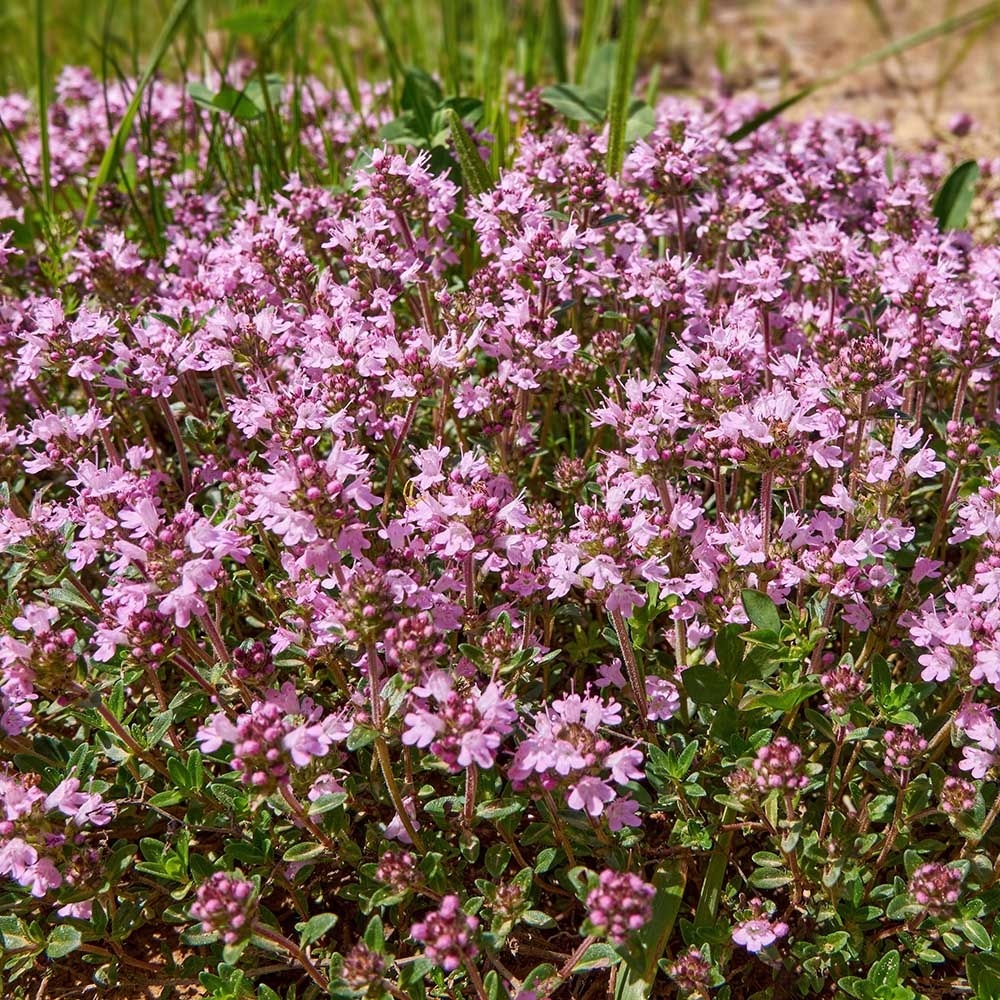 f1b74b7597adc06fc8875ddf42c590e0