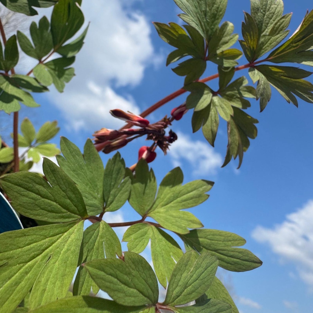 95efa9bc00e9363645574313fd9360bc