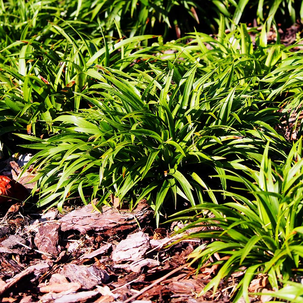 9de04a8047934eb2c4d28e9445af2fb4