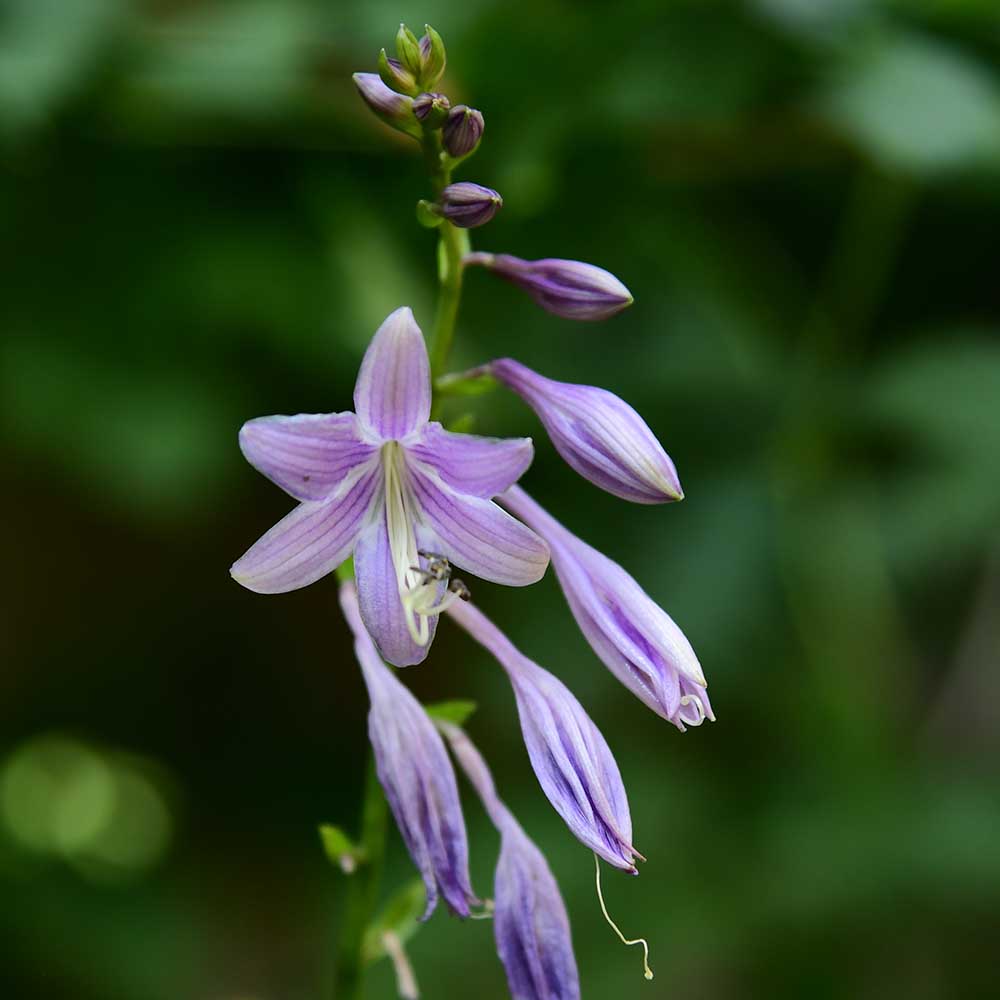 21898af2ddace2b7462b390d9203bac7