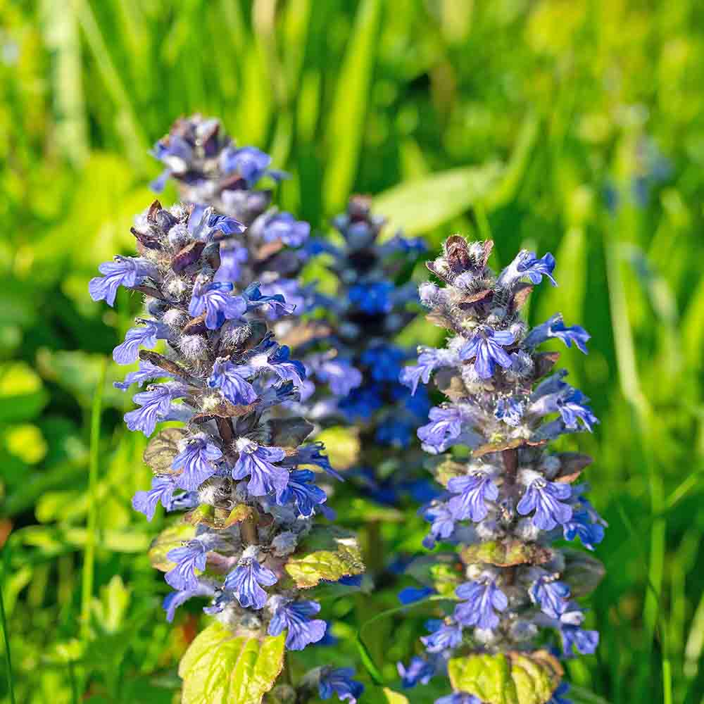 e287fce28071401ccbdcbb00b883d90b