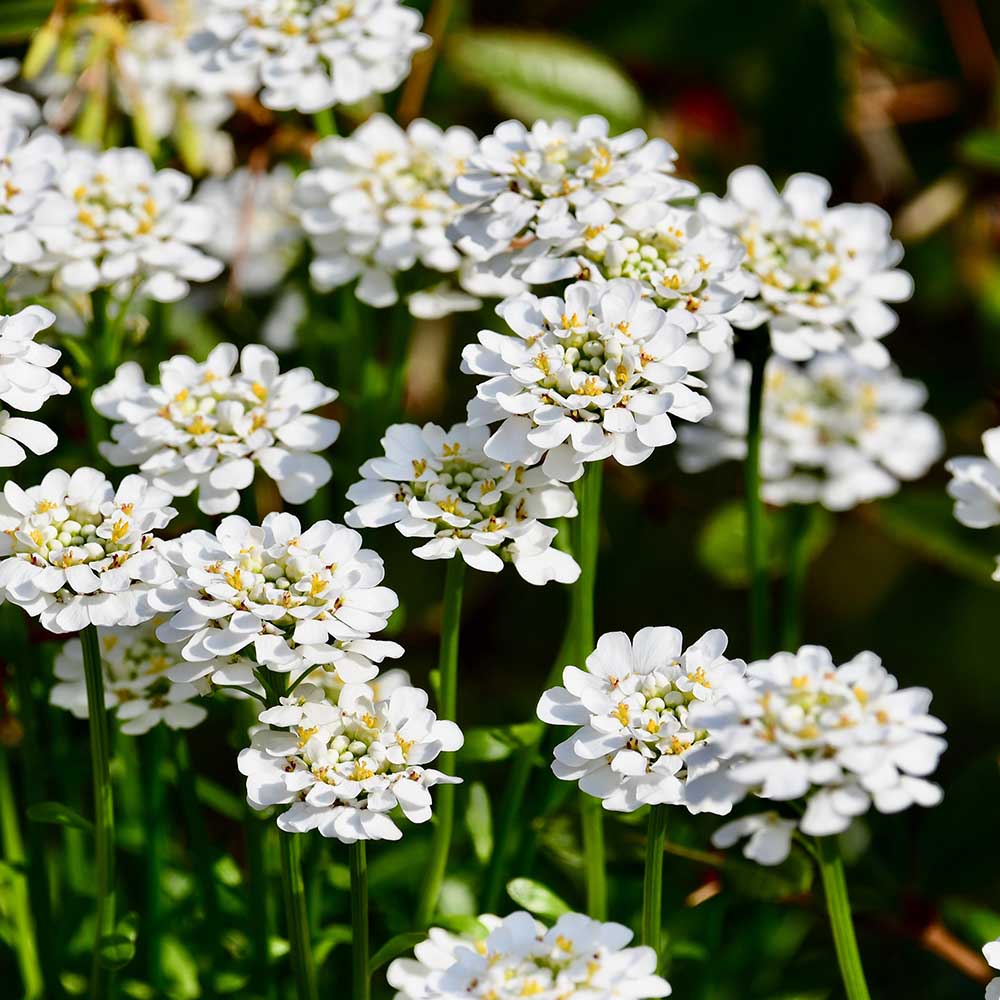 1dd2d3eda3eb5268dad4713228ce6b11