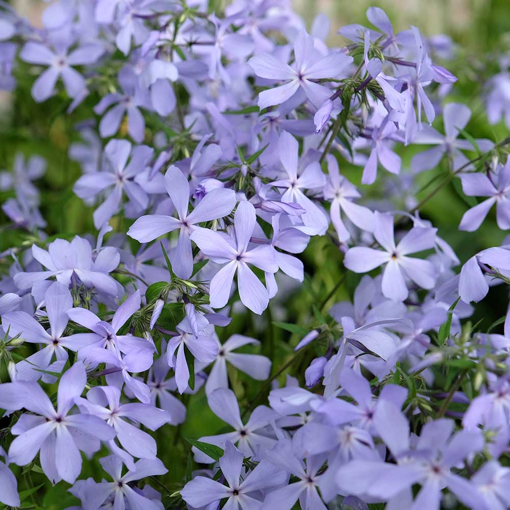 72197db5c61fdd7637f6424f945fb644