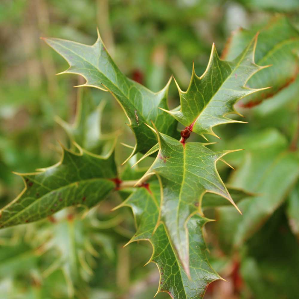 0f74495515969fa6ff55434d5e67f251