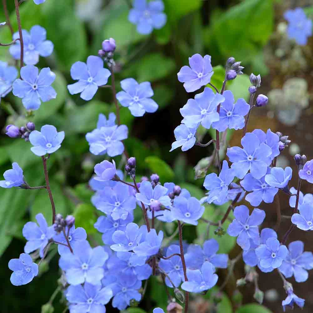 ad1262e75d0ba1cb35c04f89319463f0