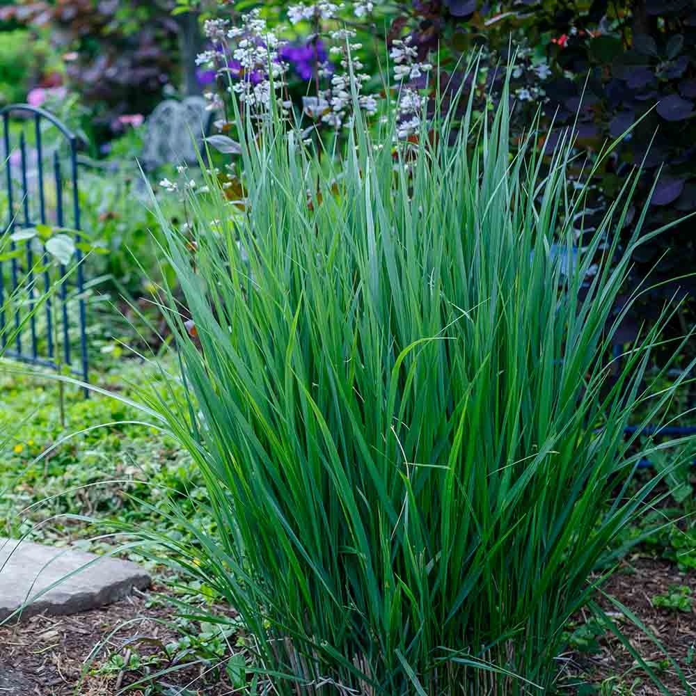 3774f8d5454feba1ad5065cca005a04e