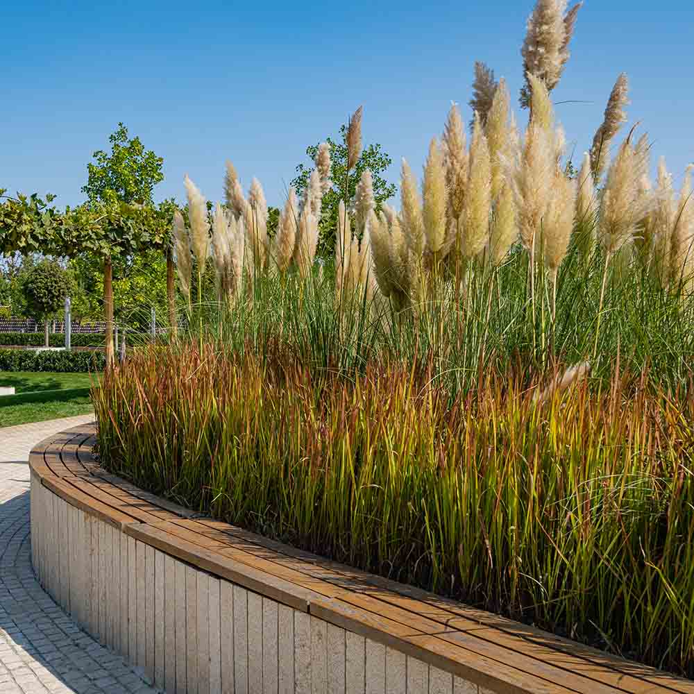 ed48d0064bd14ffe1691171d1c298ae1