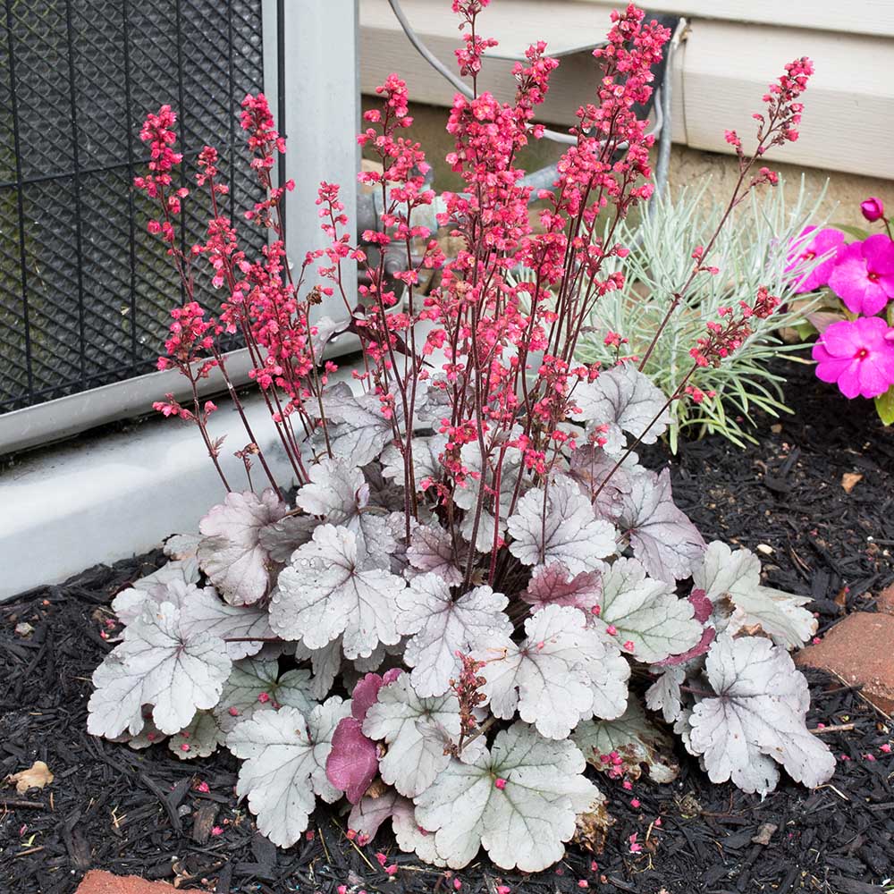 dbabf0e9e6fb34e08a07ce9bb955e02e